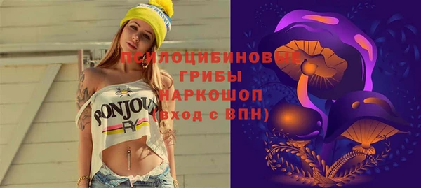 дживик Дмитровск