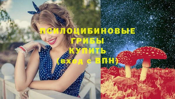 дурь Дмитров