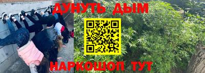 гидра Абинск