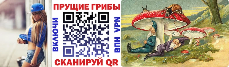Псилоцибиновые грибы Cubensis  Пыть-Ях 