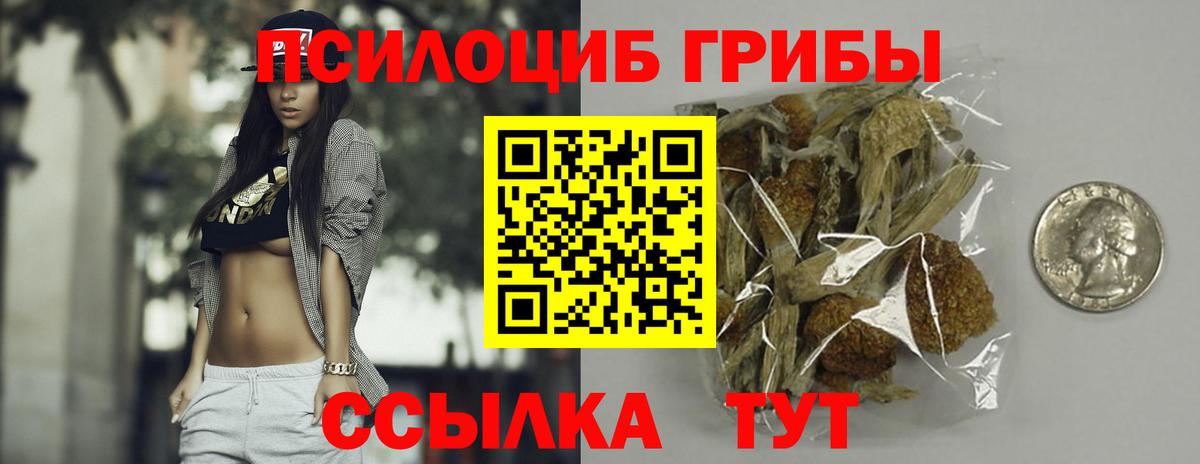 Галлюциногенные грибы Cubensis Пыть-Ях