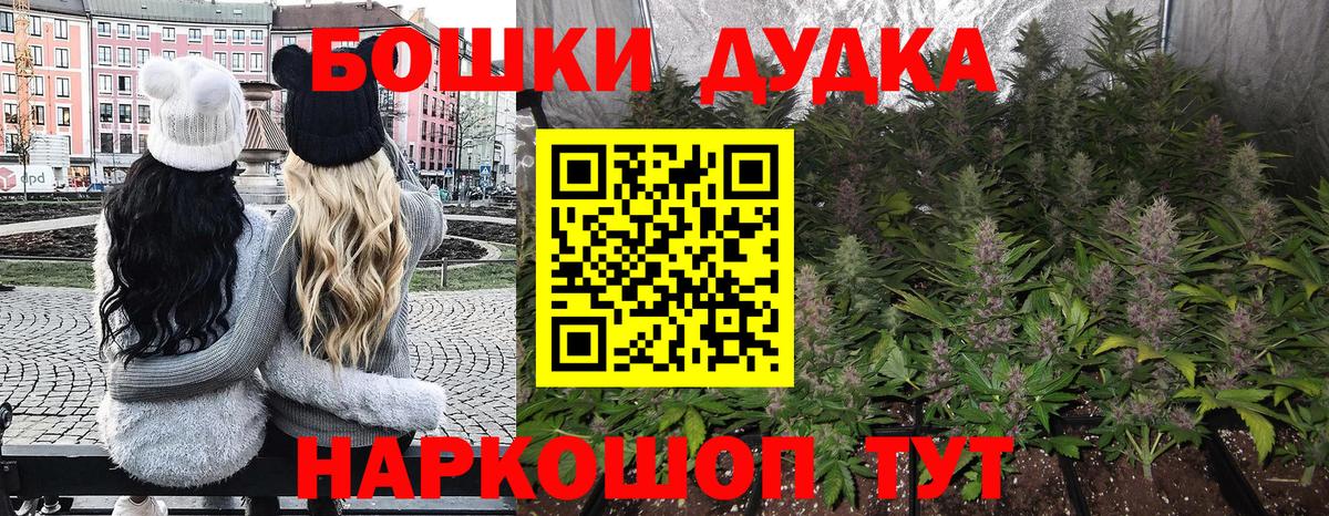 Каннабис сатива Пыть-Ях